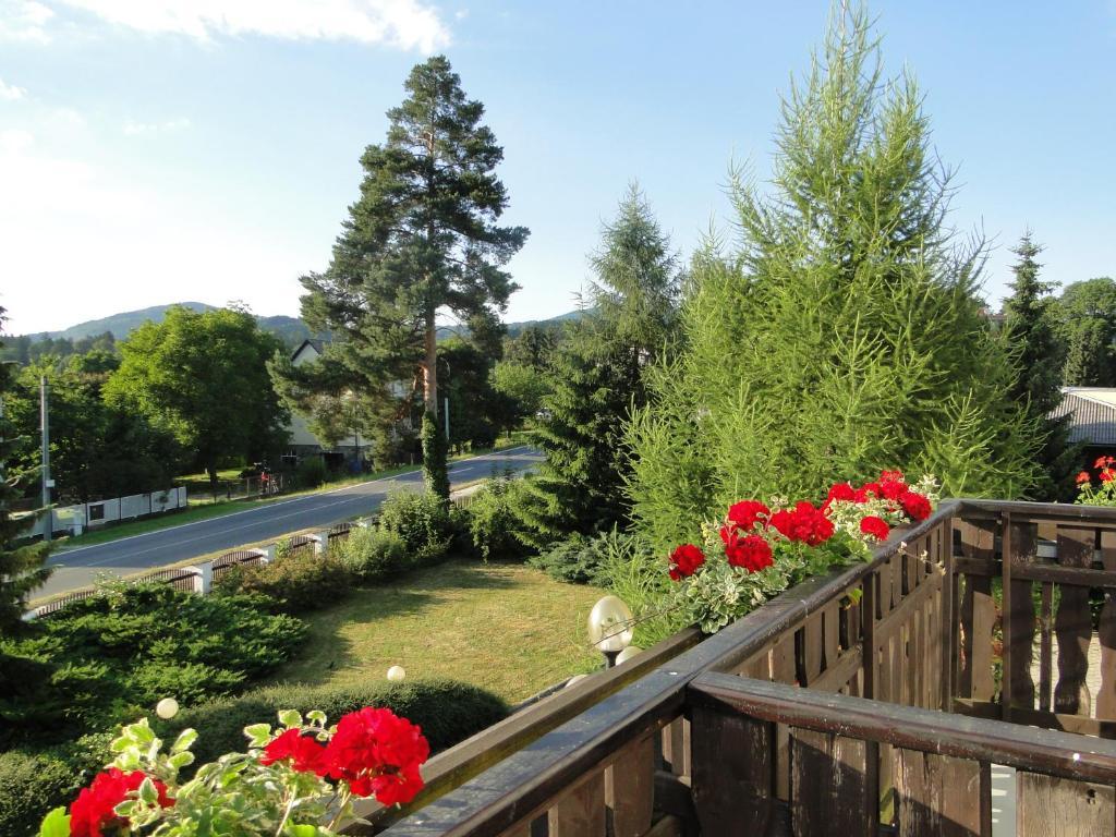 Villa Zerotin Penzion Bed & Breakfast Velke Losiny Exterior photo