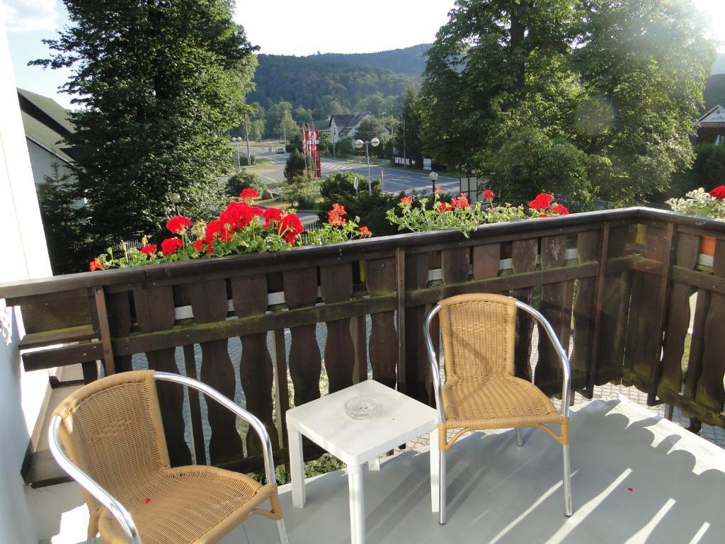 Villa Zerotin Penzion Bed & Breakfast Velke Losiny Exterior photo