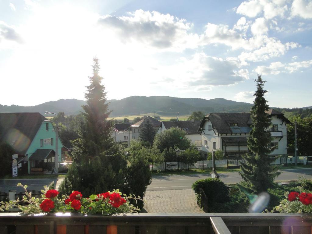 Villa Zerotin Penzion Bed & Breakfast Velke Losiny Exterior photo